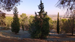 Cerro de los Ángeles. Getafe. Madrid