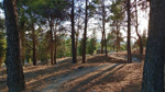 Cerro de los Ángeles. Getafe. Madrid