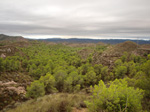 Concesión La Cena del Deposito. Cerro Minado. Cuesta Alta. Huercal Overa. Almería