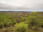 Concesión La Cena del Deposito. Cerro Minado. Cuesta Alta. Huercal Overa. Almería