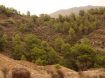   Concesión La Cena del Deposito. Cerro Minado. Cuesta Alta. Huercal Overa. Almería