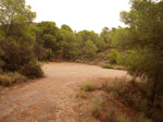   Concesión La Cena del Deposito. Cerro Minado. Cuesta Alta. Huercal Overa. Almería