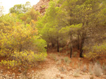  . Concesión La Cena del Deposito. Cerro Minado. Cuesta Alta. Huercal Overa. Almería