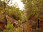  . Concesión La Cena del Deposito. Cerro Minado. Cuesta Alta. Huercal Overa. Almería