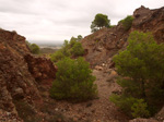 Concesión La Cena del Deposito. Cerro Minado. Cuesta Alta. Huercal Overa. Almería