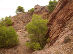 Concesión La Cena del Deposito. Cerro Minado. Cuesta Alta. Huercal Overa. Almería