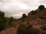 Concesión La Cena del Deposito. Cerro Minado. Cuesta Alta. Huercal Overa. Almería