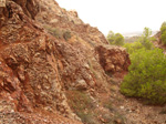   Concesión La Cena del Deposito. Cerro Minado. Cuesta Alta. Huercal Overa. Almería