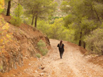 Concesión La Cena del Deposito. Cerro Minado. Cuesta Alta. Huercal Overa. Almería