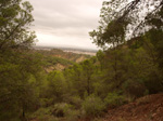 Concesión La Cena del Deposito. Cerro Minado. Cuesta Alta. Huercal Overa. Almería