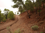 Concesión La Cena del Deposito. Cerro Minado. Cuesta Alta. Huercal Overa. Almería