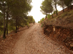 Concesión La Cena del Deposito. Cerro Minado. Cuesta Alta. Huercal Overa. Almería