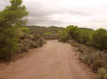 Concesión La Cena del Deposito. Cerro Minado. Cuesta Alta. Huercal Overa. Almería