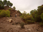 Concesión La Cena del Deposito. Cerro Minado. Cuesta Alta. Huercal Overa. Almería