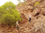 Concesión La Cena del Deposito. Cerro Minado. Cuesta Alta. Huercal Overa. Almería