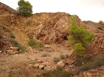 Concesión La Cena del Deposito. Cerro Minado. Cuesta Alta. Huercal Overa. Almería