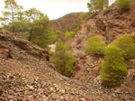 Concesión La Cena del Deposito. Cerro Minado. Cuesta Alta. Huercal Overa. Almería