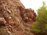   Concesión La Cena del Deposito. Cerro Minado. Cuesta Alta. Huercal Overa. Almería