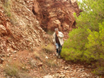   Concesión La Cena del Deposito. Cerro Minado. Cuesta Alta. Huercal Overa. Almería