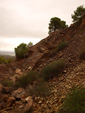   Concesión La Cena del Deposito. Cerro Minado. Cuesta Alta. Huercal Overa. Almería