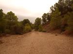   Concesión La Cena del Deposito. Cerro Minado. Cuesta Alta. Huercal Overa. Almería