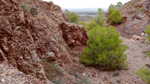   Concesión La Cena del Deposito. Cerro Minado. Cuesta Alta. Huercal Overa. Almería