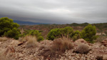   Concesión La Cena del Deposito. Cerro Minado. Cuesta Alta. Huercal Overa. Almería