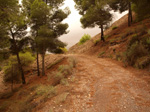   Concesión La Cena del Deposito. Cerro Minado. Cuesta Alta. Huercal Overa. Almería