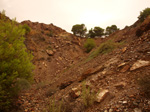   Concesión La Cena del Deposito. Cerro Minado. Cuesta Alta. Huercal Overa. Almería