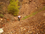   Concesión La Cena del Deposito. Cerro Minado. Cuesta Alta. Huercal Overa. Almería