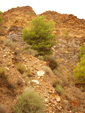   Concesión La Cena del Deposito. Cerro Minado. Cuesta Alta. Huercal Overa. Almería