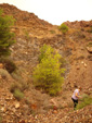   Concesión La Cena del Deposito. Cerro Minado. Cuesta Alta. Huercal Overa. Almería