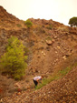   Concesión La Cena del Deposito. Cerro Minado. Cuesta Alta. Huercal Overa. Almería