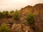   Concesión La Cena del Deposito. Cerro Minado. Cuesta Alta. Huercal Overa. Almería