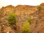   Concesión La Cena del Deposito. Cerro Minado. Cuesta Alta. Huercal Overa. Almería