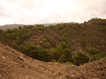   Concesión La Cena del Deposito. Cerro Minado. Cuesta Alta. Huercal Overa. Almería