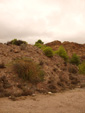   Concesión La Cena del Deposito. Cerro Minado. Cuesta Alta. Huercal Overa. Almería