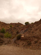   Concesión La Cena del Deposito. Cerro Minado. Cuesta Alta. Huercal Overa. Almería