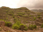   Concesión La Cena del Deposito. Cerro Minado. Cuesta Alta. Huercal Overa. Almería