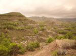   Concesión La Cena del Deposito. Cerro Minado. Cuesta Alta. Huercal Overa. Almería