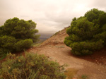   Concesión La Cena del Deposito. Cerro Minado. Cuesta Alta. Huercal Overa. Almería