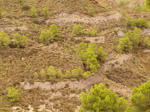   Concesión La Cena del Deposito. Cerro Minado. Cuesta Alta. Huercal Overa. Almería