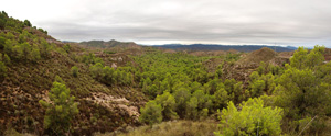 Concesión La Cena del Deposito. Cerro Minado. Cuesta Alta. Huercal Overa. Almería