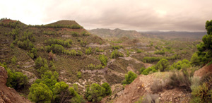 Concesión La Cena del Deposito. Cerro Minado. Cuesta Alta. Huercal Overa. Almería