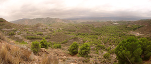 Concesión La Cena del Deposito. Cerro Minado. Cuesta Alta. Huercal Overa. Almería