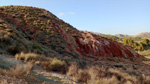 Trias de Loma Bada. Petrer. Alicante