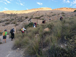 Cantera de Áridos Holcin. Busot. Alicante