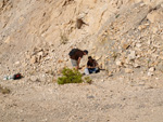   Cantera de Áridos de Holcin. Busot. Alicante