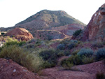 Cantera el Moresno. La Alcoraia. Alicante