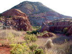 Cantera el Moresno. La Alcoraia. Alicante